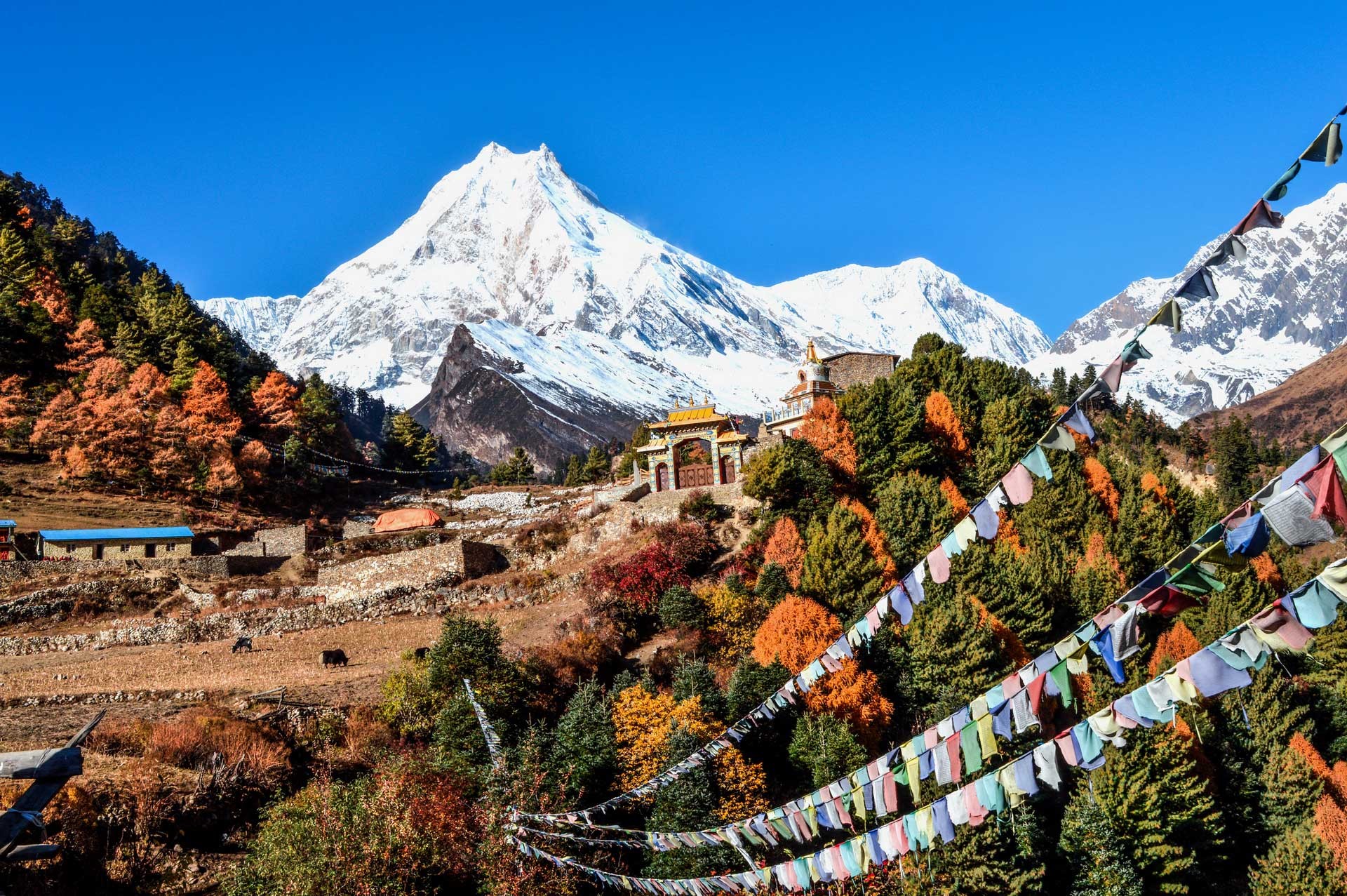 Stunning Views of Manaslu (8,163m) – Witness breathtaking views of the world’s eighth-highest peak, along with other majestic mountains.