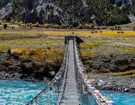 Diverse Landscapes – Trek through lush subtropical forests, terraced fields, arid highlands, and snow-capped peaks.