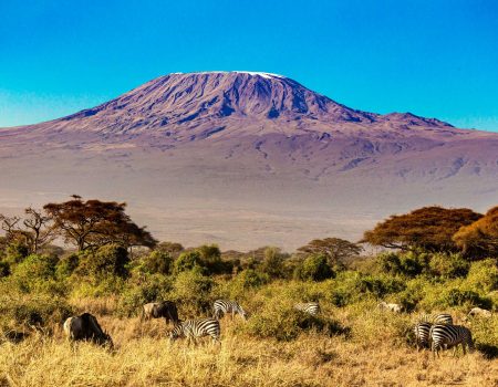 Diverse Landscapes – Trek through five unique climate zones, from lush rainforests to alpine deserts and icy glaciers.
